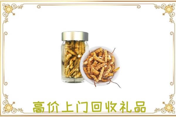 泉州周边回收虫草